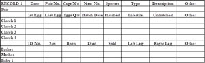 bird breeding records