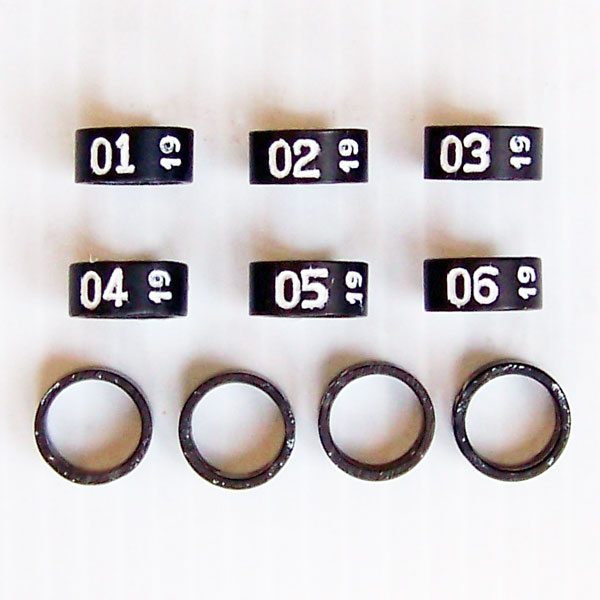 Bird Leg Ring Size Chart