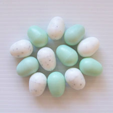 plastic dummy bird eggs white green