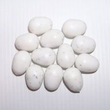 plastic dummy bird eggs white